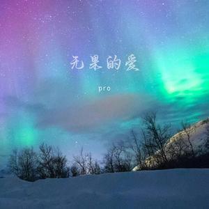 无果的爱 (伴奏)