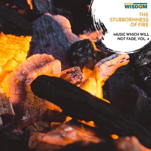 Creative Summer Night Fire Sounds