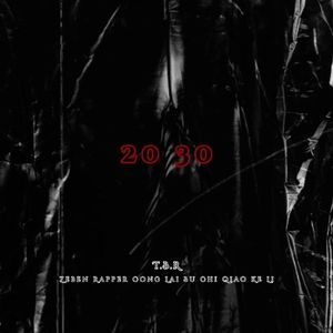 20 30