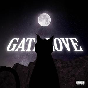 GATALOVE (feat. raamasiete, zNagi & migraine)