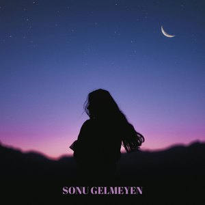 Sonu Gelmeyen