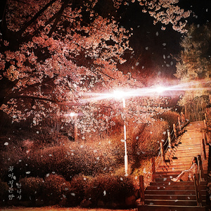 꽃이 지는 밤 (Instrumental)