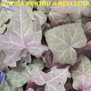Muzic? Pentru A Reflecta