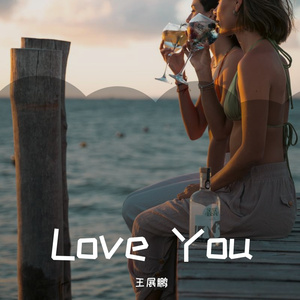 王展鹏-I Love You（王展鹏 remix）