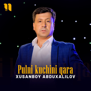 Pulni kuchini qara