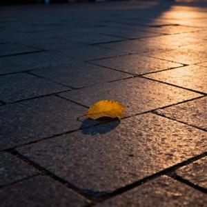 我悄悄去了你的城市