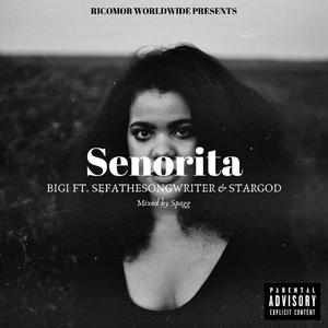Senorita (feat. Sefathesongwriter & Stargod)
