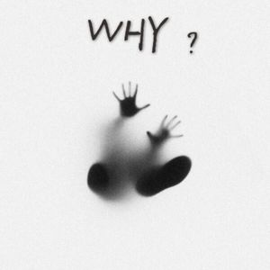 Why （demo）
