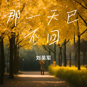 那一天已不回