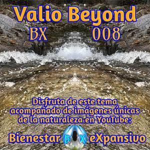 BX 008 Frío Cálido