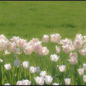 飞驰的列车-整曲 伴奏