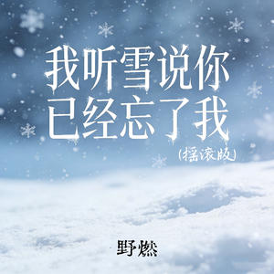 我听雪说你已经忘了我(摇滚版)