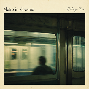Metro in slow-mo(慢动作地下铁）
