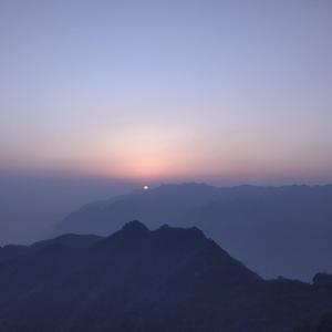 的夏_20220714_081507