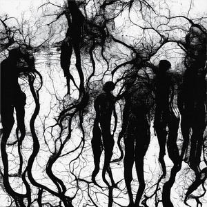 Galvanized