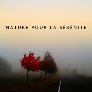 Pensées pluvieuses