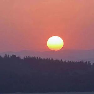 晚夜微雨问海棠(DJ版)