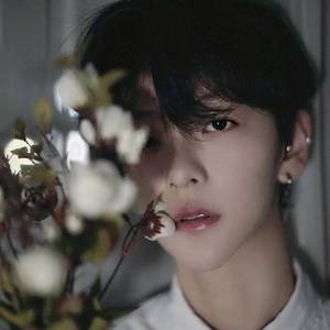 理想三旬