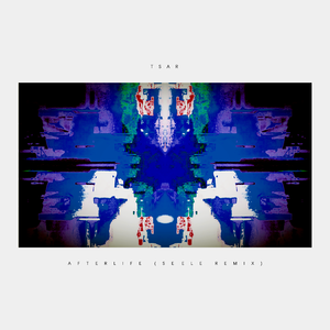 TSAR-AFTERLIFE (Seele Bootleg)（Seele remix）