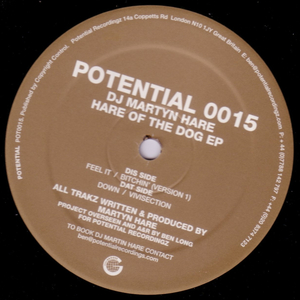 Bitchin' (Version 1)