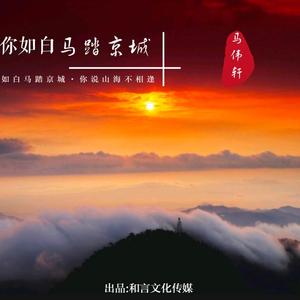 你如白马踏京城