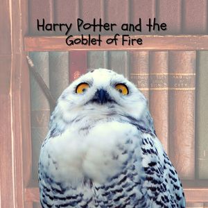 Hogwarts' March (From "Harry Potter and the Goblet of Fire")