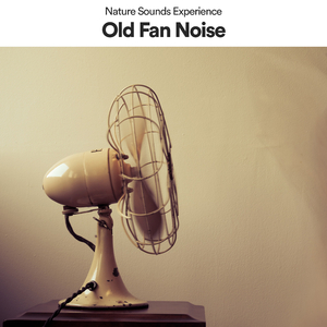 Ventilatorgeräusche