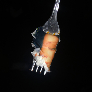 Wilburn Street (Acoustic)