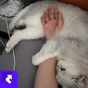 如果我是说如果