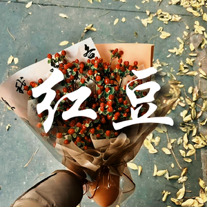 红豆