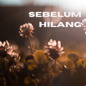 Sebelum Hilang