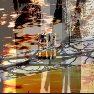 fault