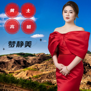 黄土高坡（DJ版）