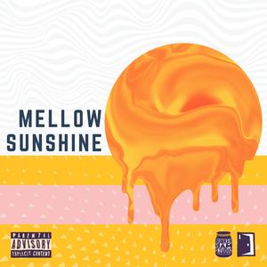 Mellow Sunshine (feat. Bambiino & The Afro Jam)