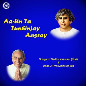 Raja Ram Ta Aayo Aayo (feat. Dr. Harish Wadhwani)