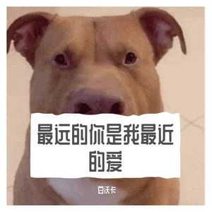 还看得过去其实