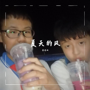 夏天的风（电音新版）（翻自 温岚）