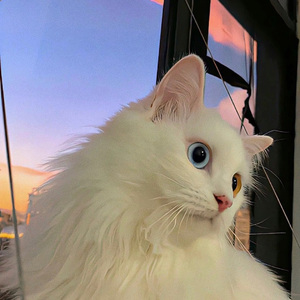 你是我的一生所爱 .wav