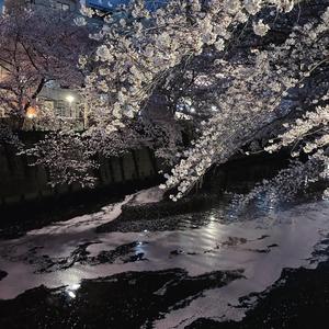 纯白巧克力的湖【prod by KoI】