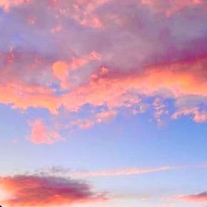 Miss Autumn(翻自 贺仙人)