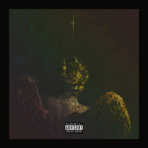 THE INTRODUCTORY PARAGRAPH