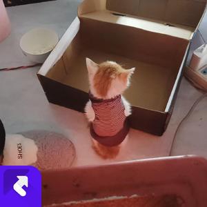 你说会让我幸福 (现场)