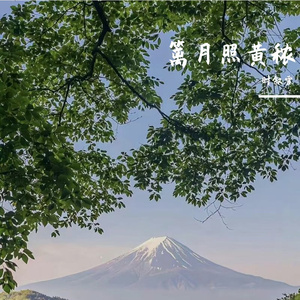 菊露酿秋光