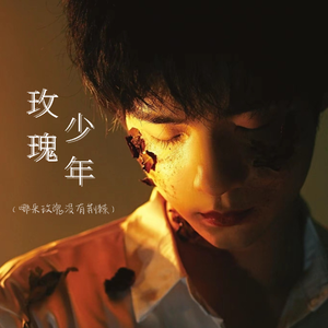 玫瑰少年（哪朵玫瑰没有荆棘）