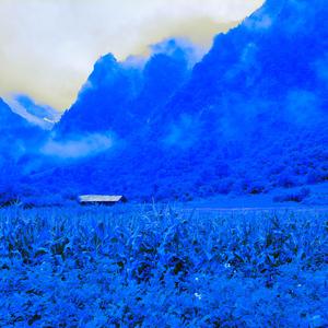 这就是我的生活 伴奏