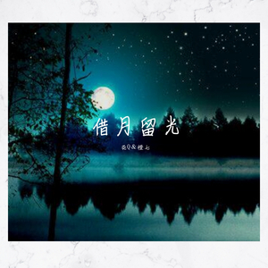 借月留光