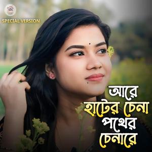 আরে হাটের চেনা পথের চেনারে | Are Hater Chena Pother Chena re