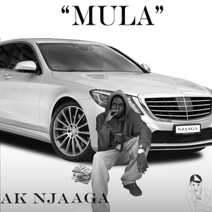 Mula