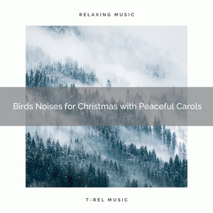 Happy are Christmas with Best Songs and Calmful Wild Birds Songs