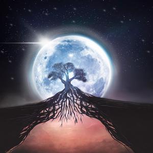Good Night (feat. Dub Gottem, Sam Reed & Fonville) (Remix)